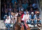 Pferd International 070